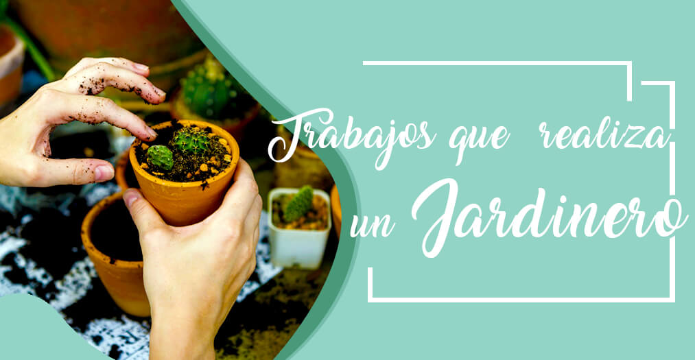 Jardineros: ¿Quiénes son y qué trabajos realizan